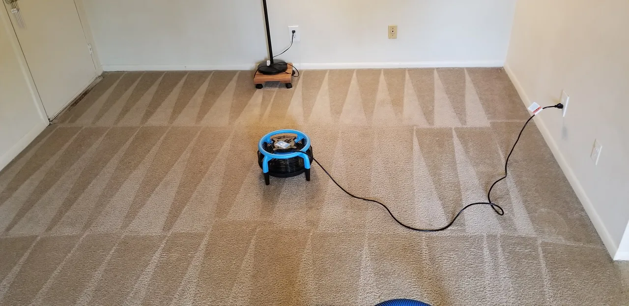 Carpet cleaning after - Total Cleaning Service
