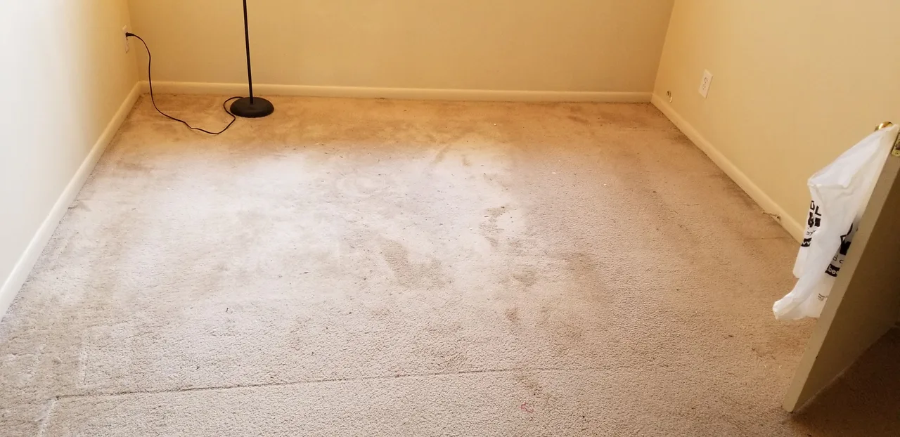 Carpet cleaning before - Total Cleaning Service