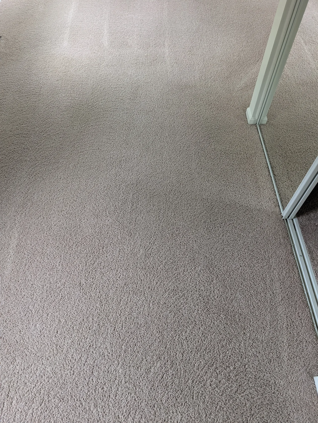 Carpet Cleaning after - Total Cleaning Service