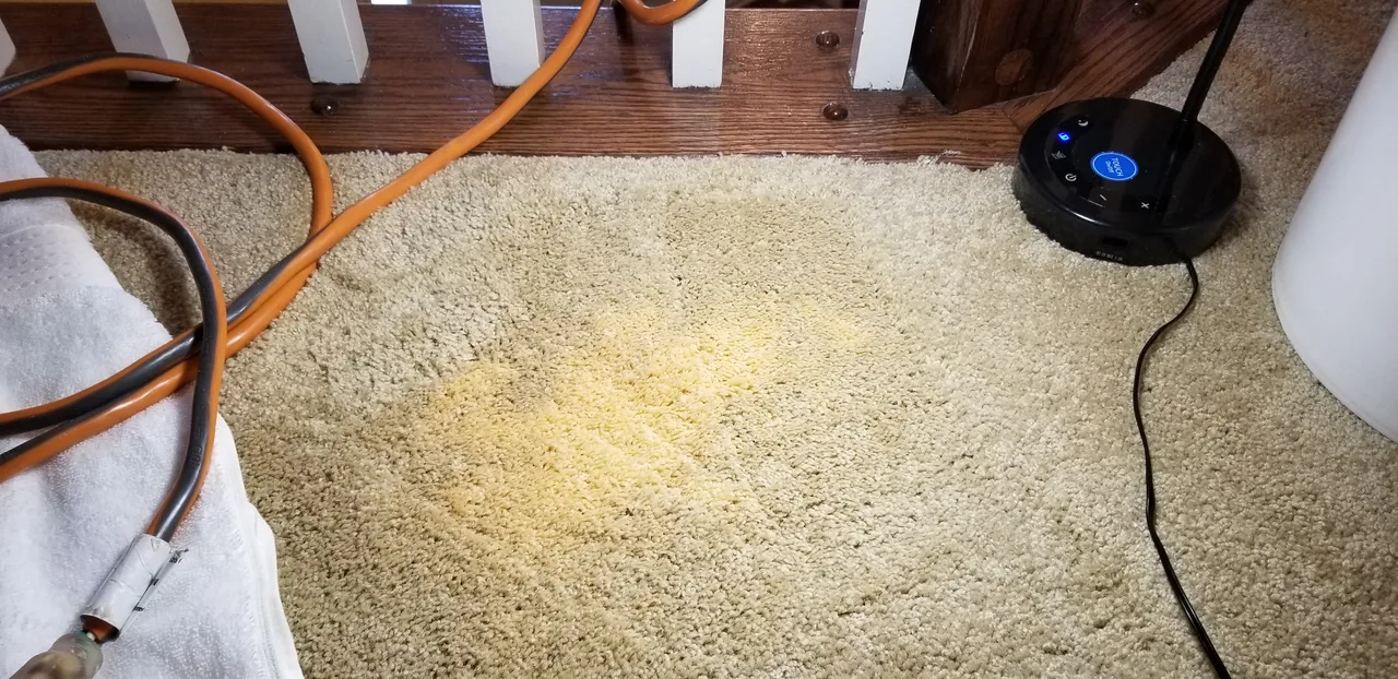 Carpet dyeing before - Total Cleaning Service