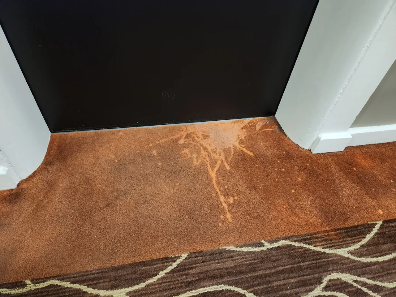 Commercial Carpet Dyeing before - Total Cleaning Service