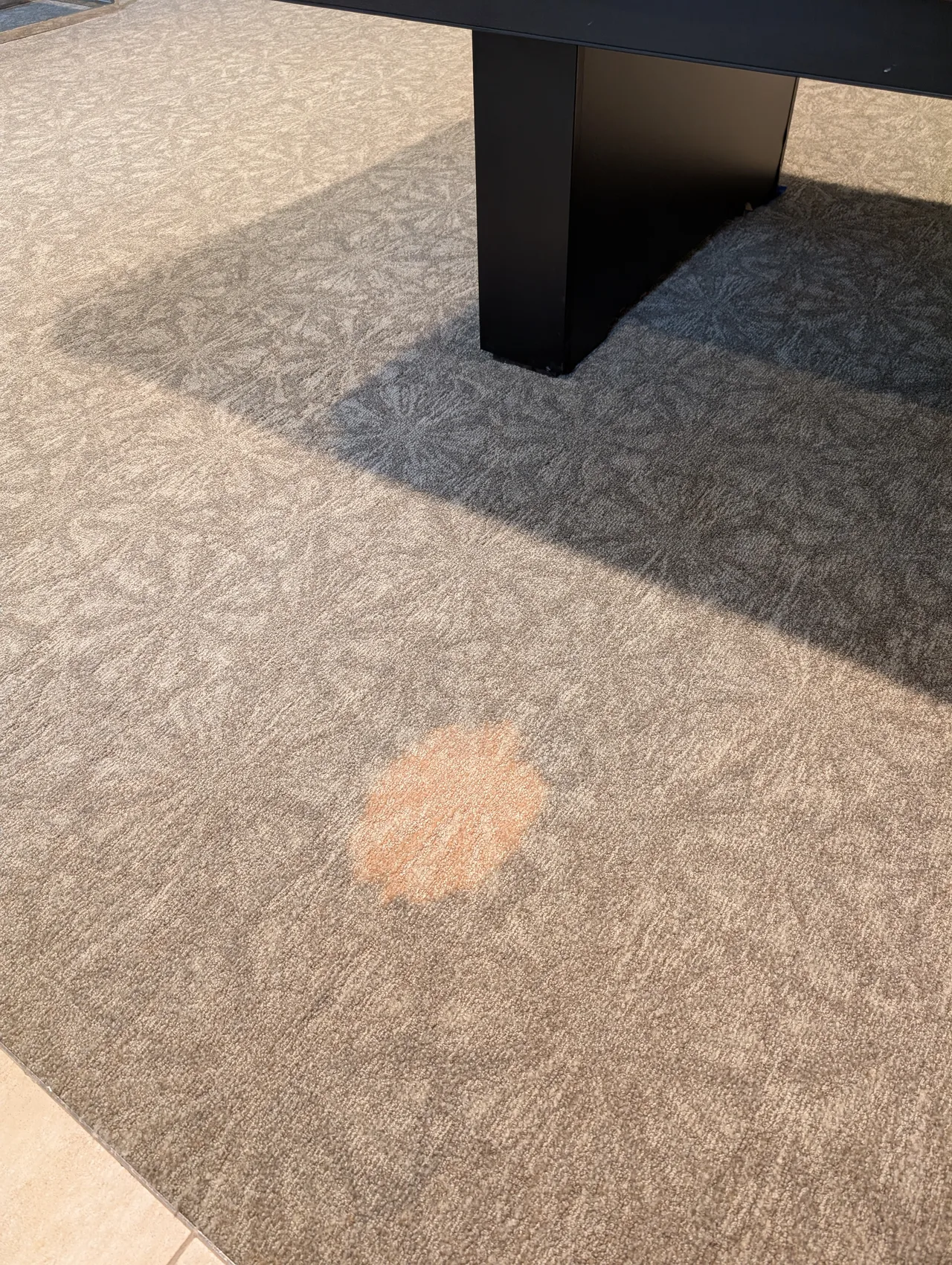 Commercial Carpet Dyeing before - Total Cleaning Service