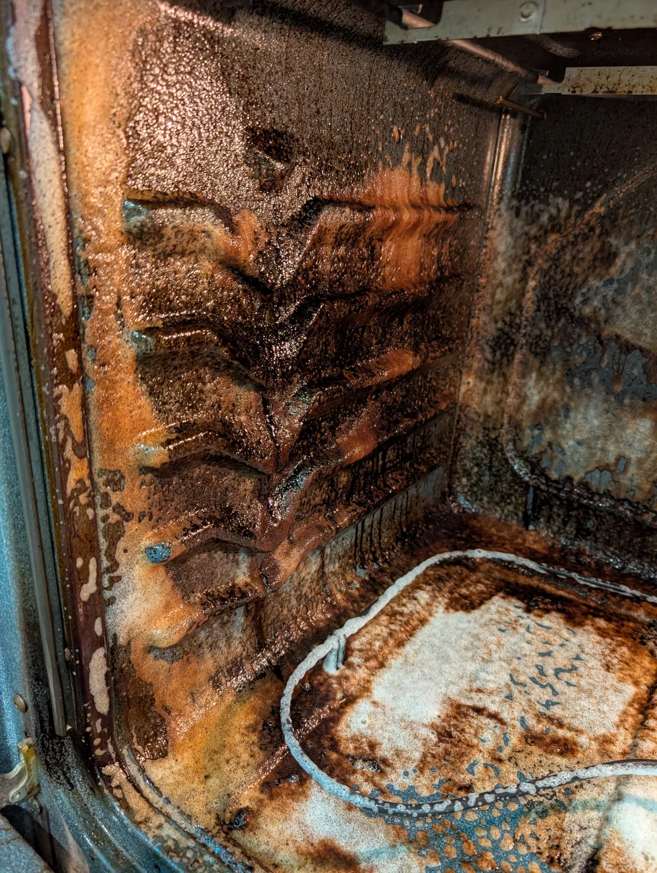 Move-Out Cleaning before - Total Cleaning Service