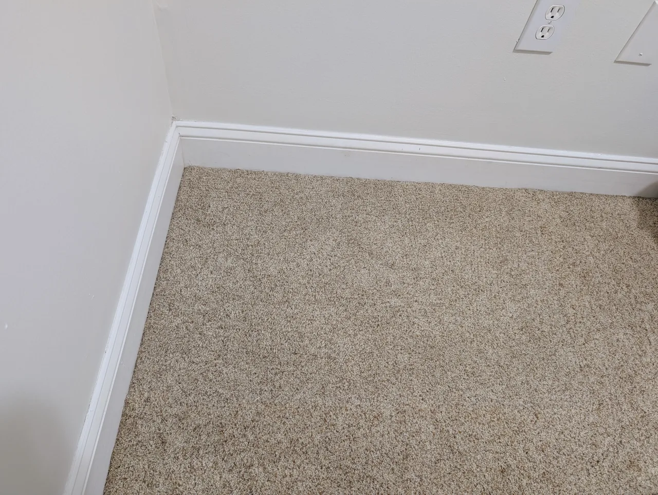 Pet Stain Removal after - Total Cleaning Service