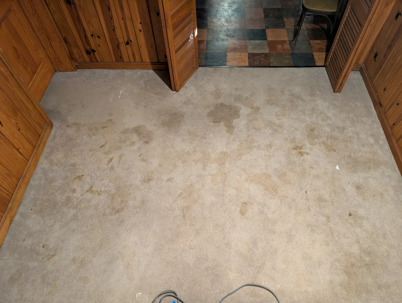 Pet Stain Removal before - Total Cleaning Service