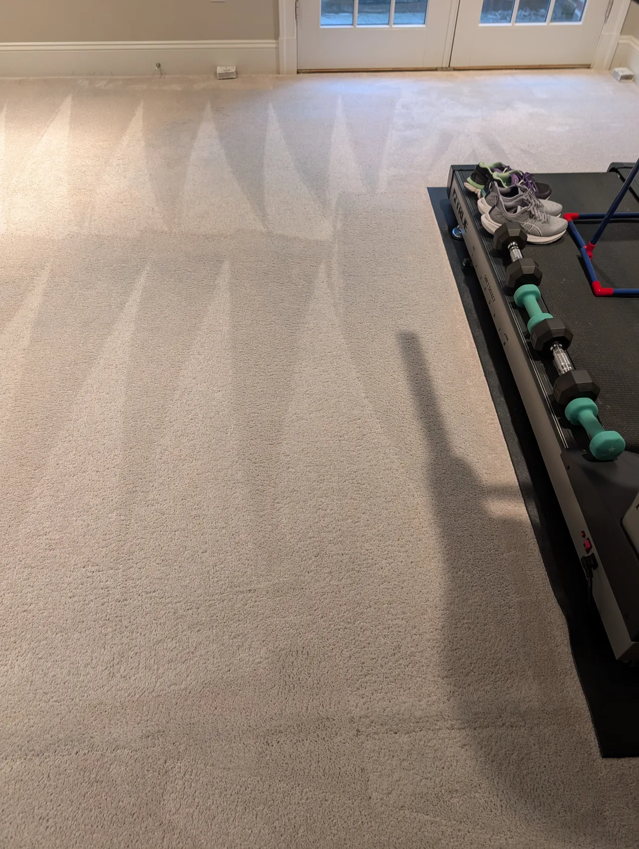 Pet Stain Removal after - Total Cleaning Service