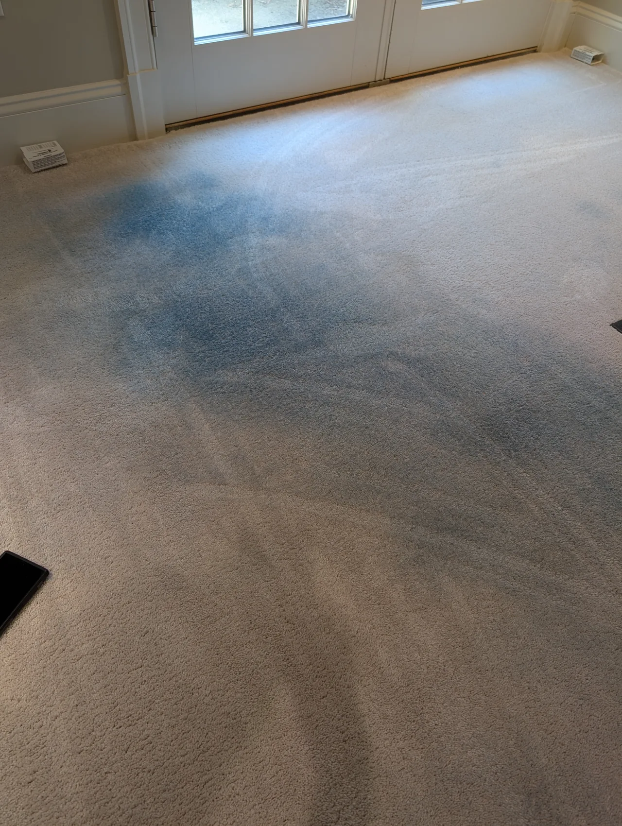 Pet Stain Removal before - Total Cleaning Service