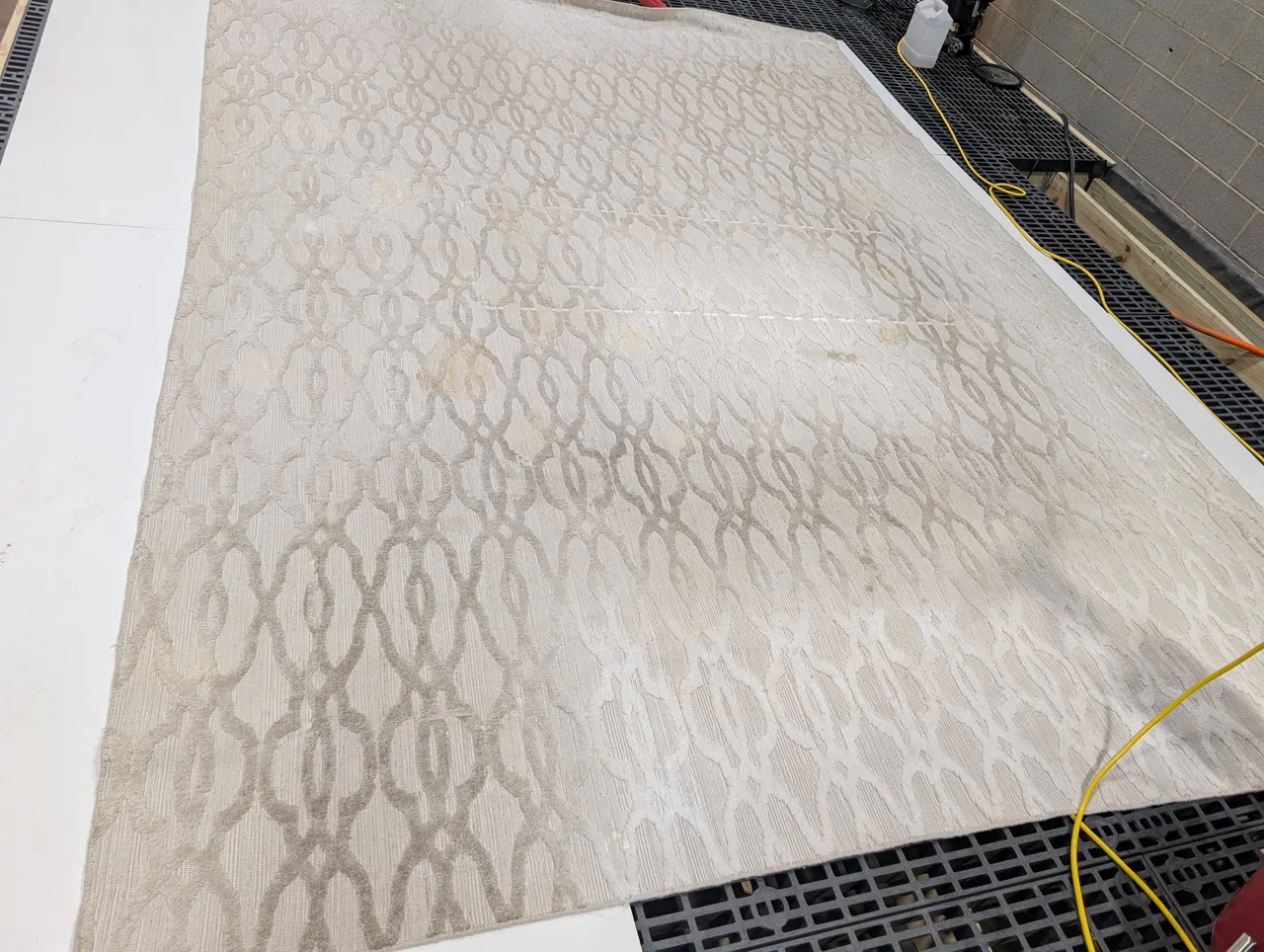 Rug Cleaning before - Total Cleaning Service