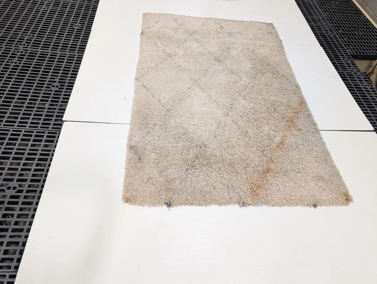 Rug Cleaning before - Total Cleaning Service
